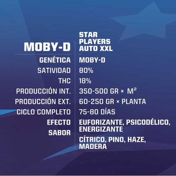 Moby-D Auto XXL (x12) - BSF - 1