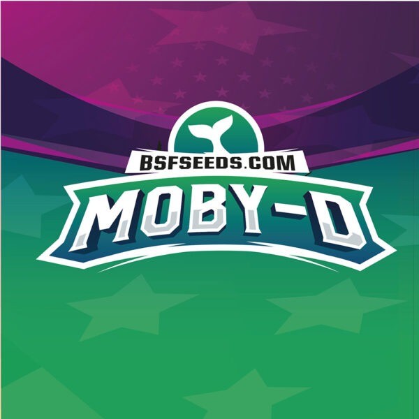 Moby-D Fem (x4) - BSF - 1
